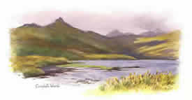 Campbell Island - one of the Subantarctic  Islands where the Megaherbs grow. Watercolour sketch by Charles N Worsley in 1902.