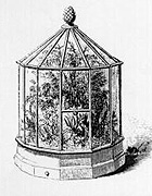 A classic decorative Wardian case. 
from Dr. Ward's 1842 book 'On the Growth of Plants in Closely Glazed Cases'. 
Click here to learn more.